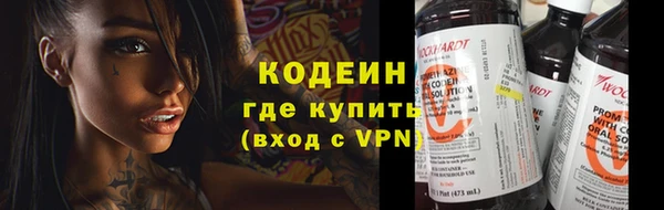 хмурый Елизово