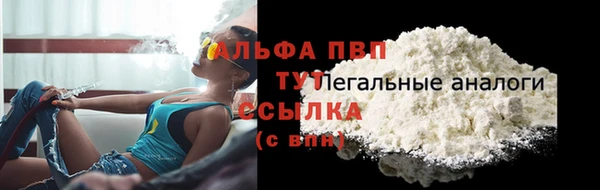 хмурый Елизово