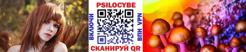 Купить закладки  Череповец  Галлюциногенные грибы Psilocybine cubensis 